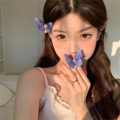 提姆的维美尔