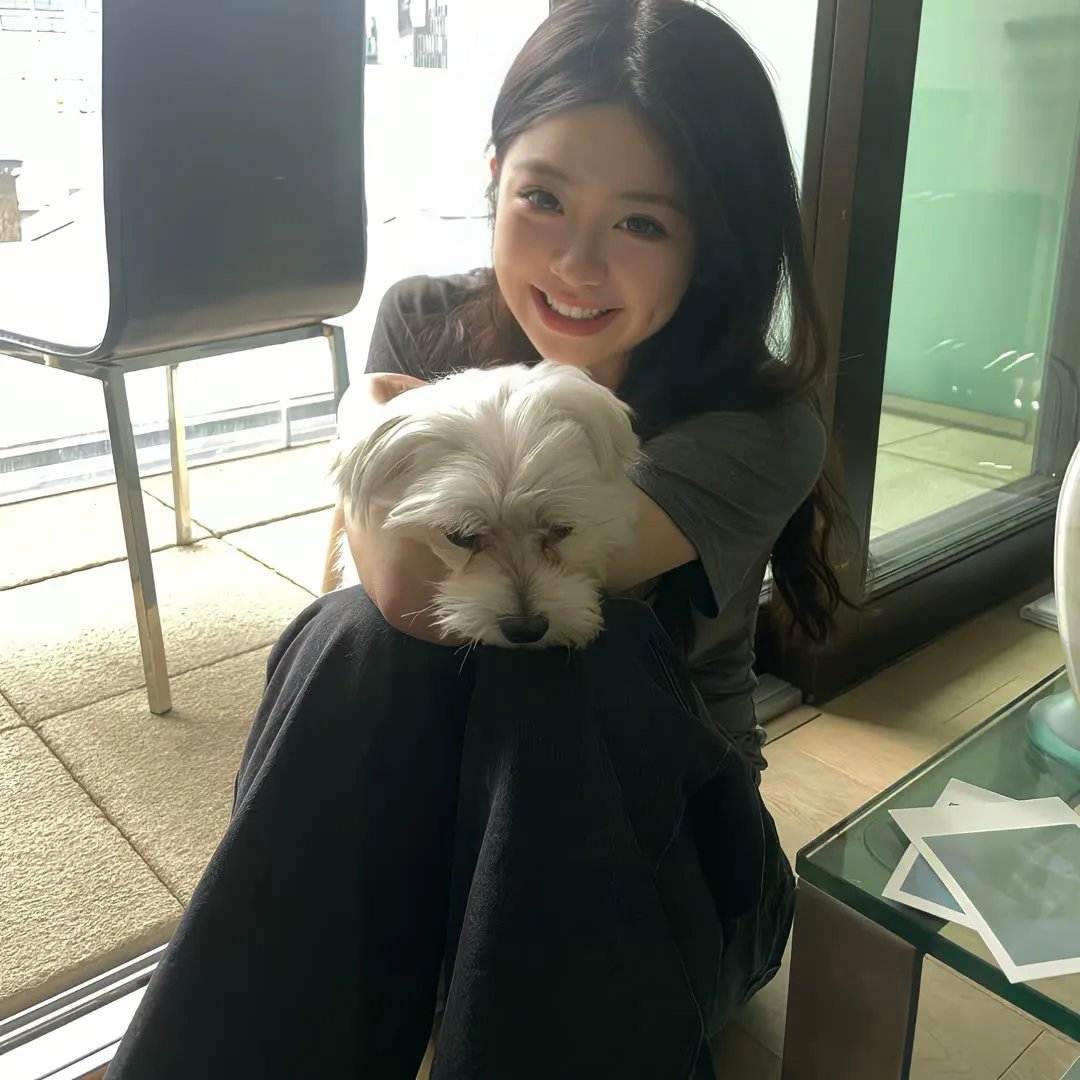 外交风云2019