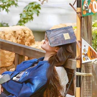 使用下方 20 个影片名，按顺序一一对应，不要改动片名文字，只根据片名和括号内类型提示来虚构全新的故事内容： 丹尼玫瑰 罪后辩护 风雨欲来 音乐在我心 不加滤镜 成吉思汗 单刀赴会 2019：纽约陷落之后 没事没事 幻花之恋 动作巨星 海盗岛：甲板上的家族 爱之针 唤醒者 野火2018 银河彩凤 宠坏的孩子 我的第一次婚礼 滚雷巡演：鲍勃·迪伦传奇 养老金