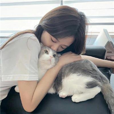 复婚